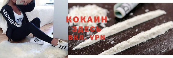дживик Баксан
