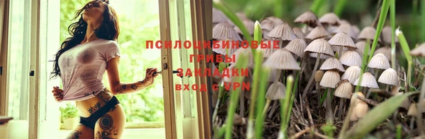 ешки Балахна
