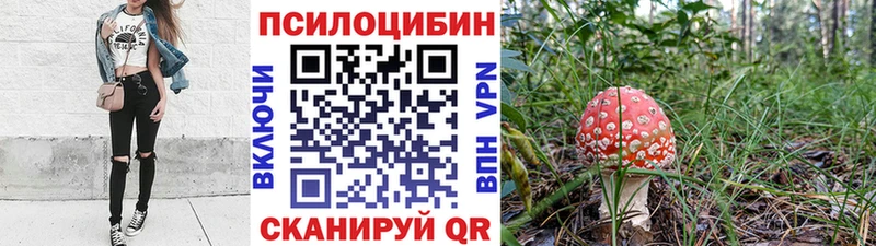 Галлюциногенные грибы мицелий  Вольск 