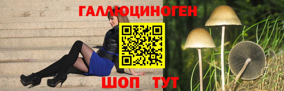 Галлюциногенные грибы Psilocybe  Псилоцибиновые грибы Psilocybine cubensis  Вход с VPN  Вольск 